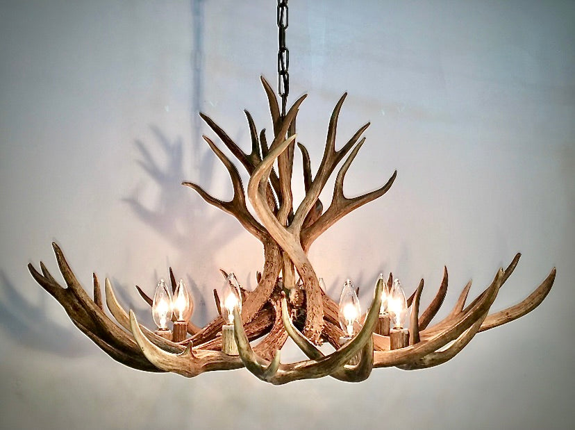 Whitefish Real Mule Deer Antler Chandelier – 36 Inch Rustic Lighting