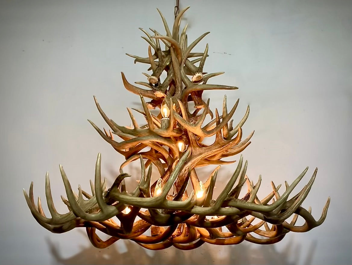 The Sequoia Real Whitetail Deer Antler Chandelier