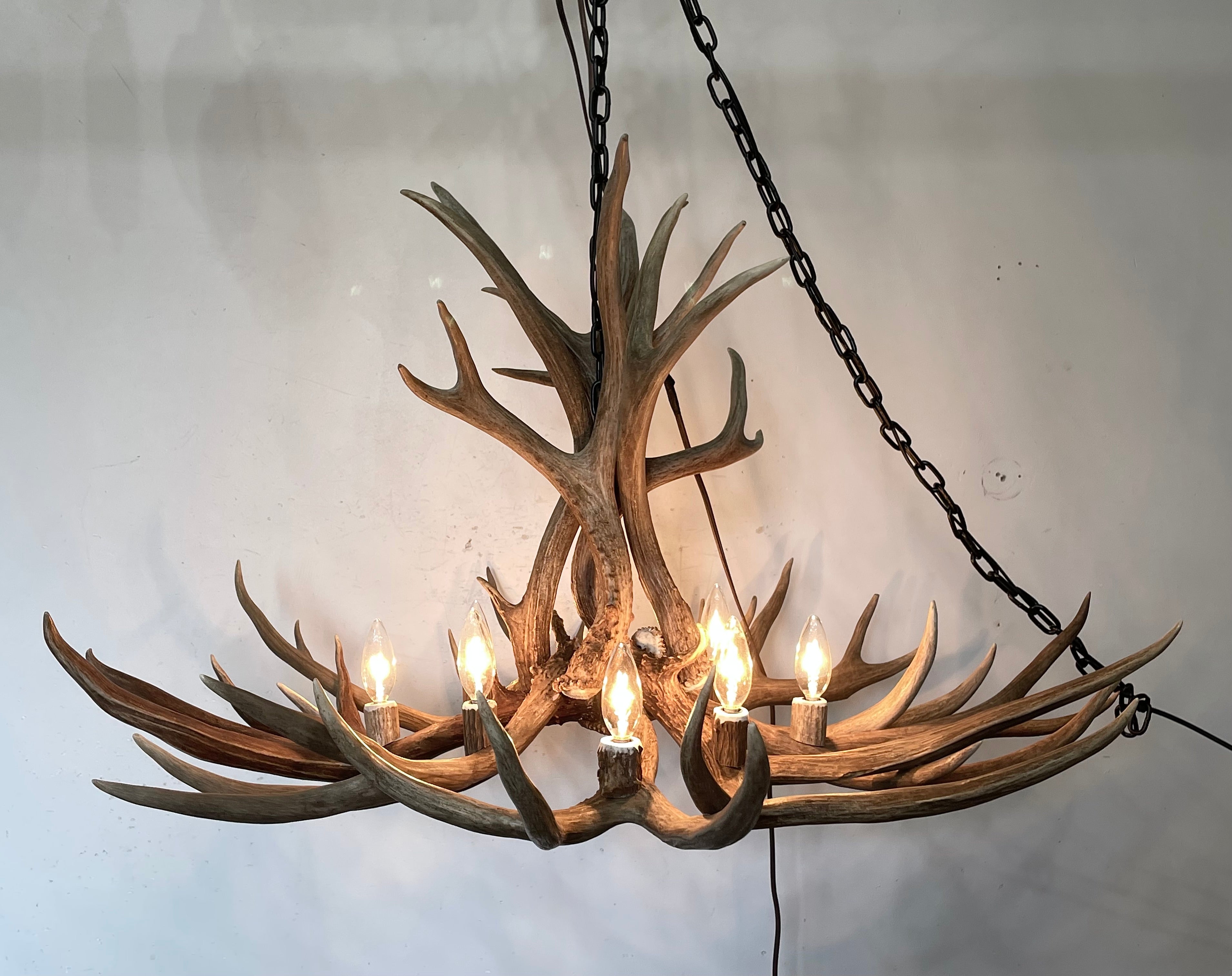 The Whitefish Real Mule Deer Antler Chandelier