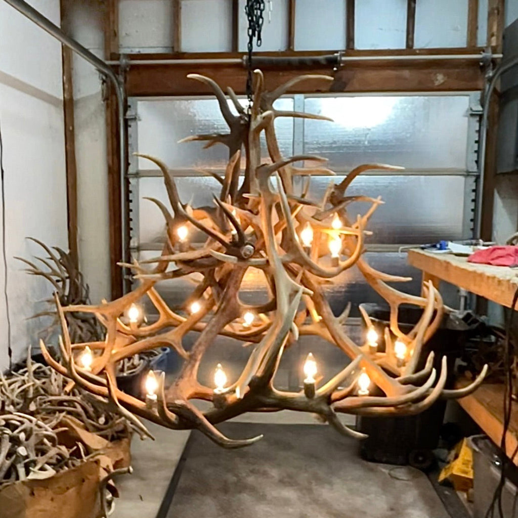 Grand Regal 60" Wide, 18 Lights,  Real Elk Antler Chandelier
