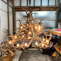 Grand Regal 60" Wide, 18 Lights,  Real Elk Antler Chandelier