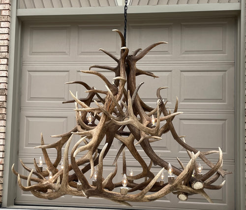 Grand Regal 60" Wide, 18 Lights,  Real Elk Antler Chandelier
