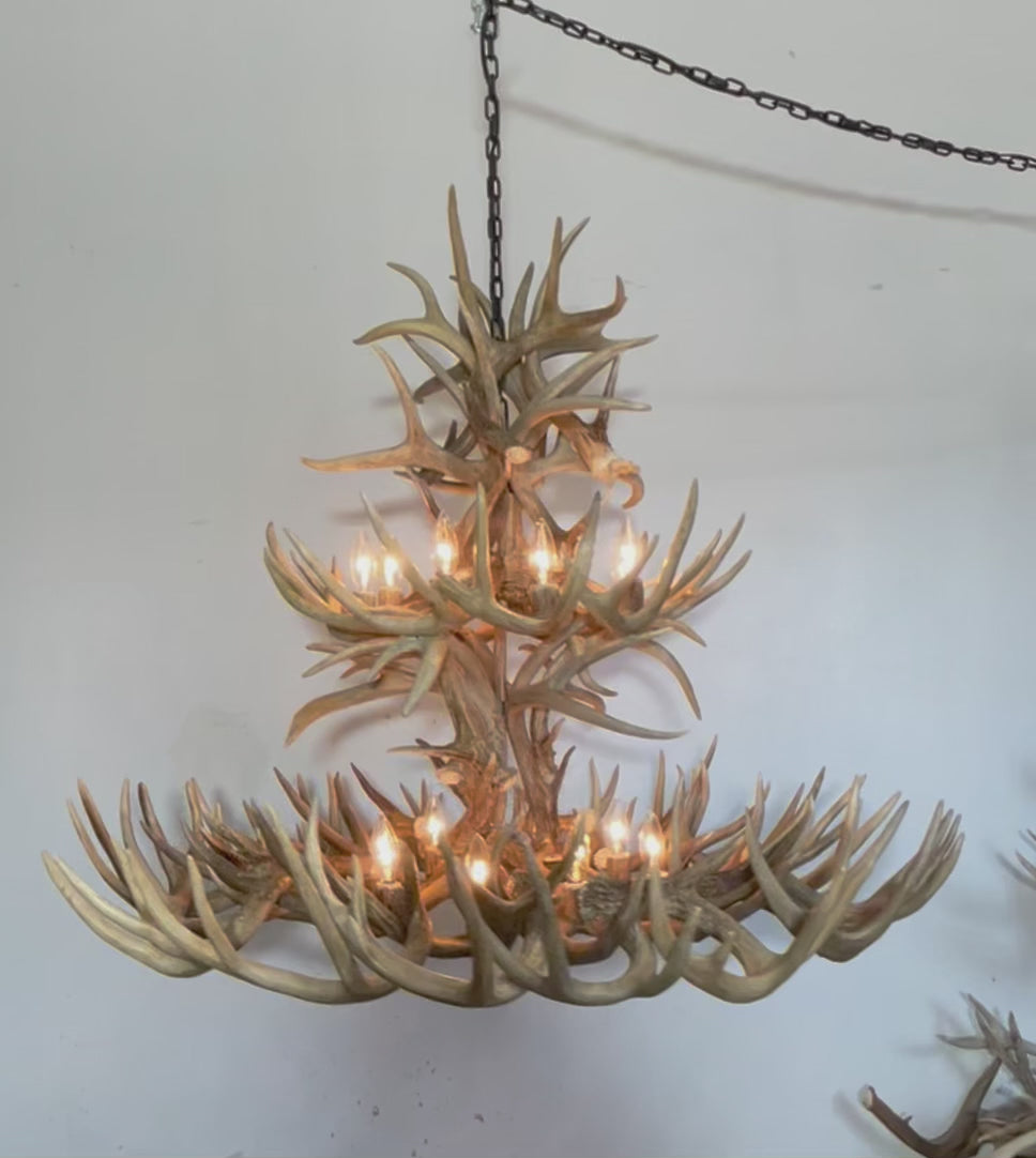 The Sequoia Real Whitetail Deer Antler Chandelier