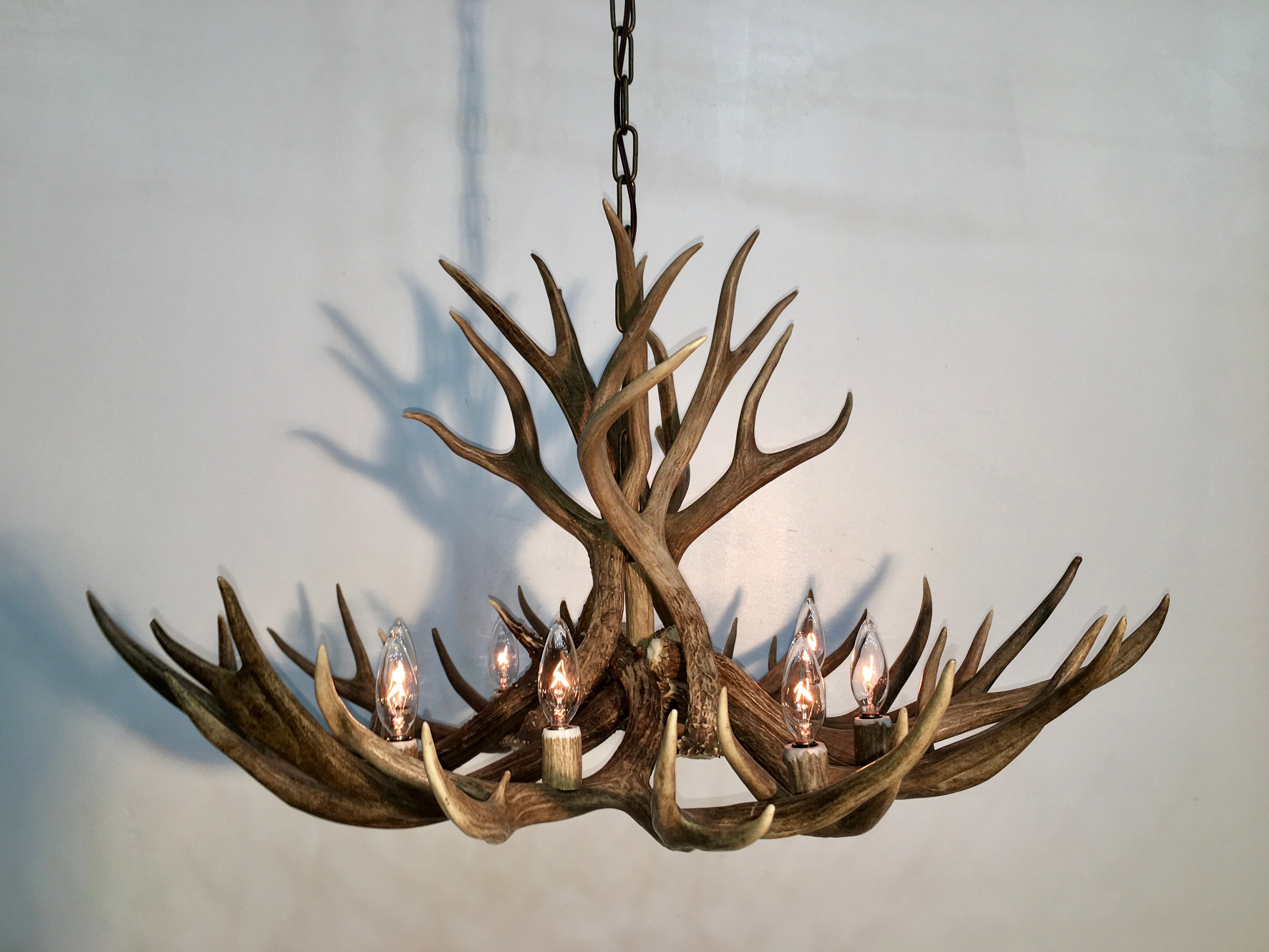 Whitefish Real Mule Deer Antler Chandelier – 36 Inch Rustic Lighting